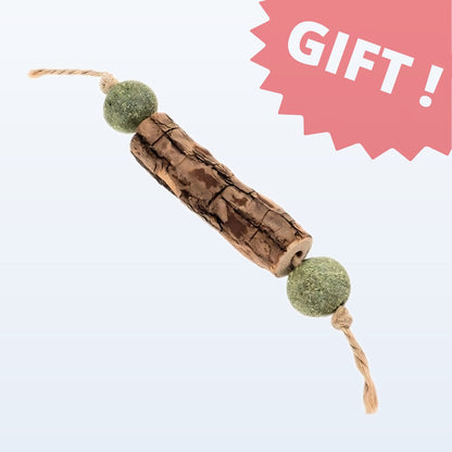 Catnip Tooth Cleaning Stick (Mystery Gift)